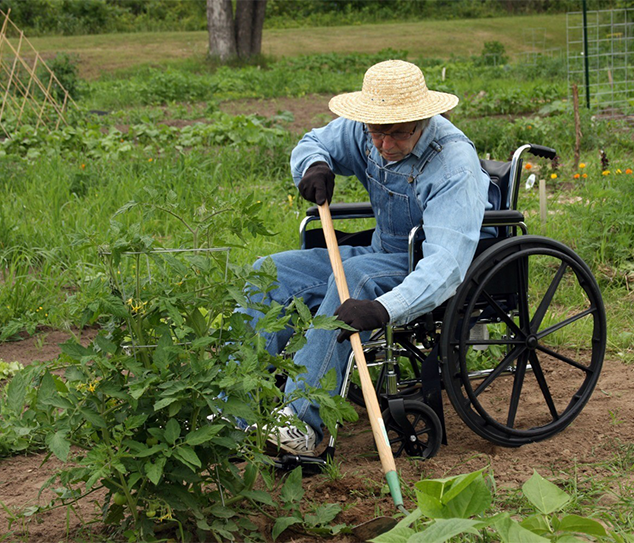 gardener